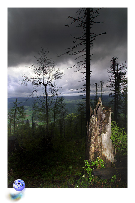 La lumire et la nuit, la vie et la mort... (C) Mair Photographie