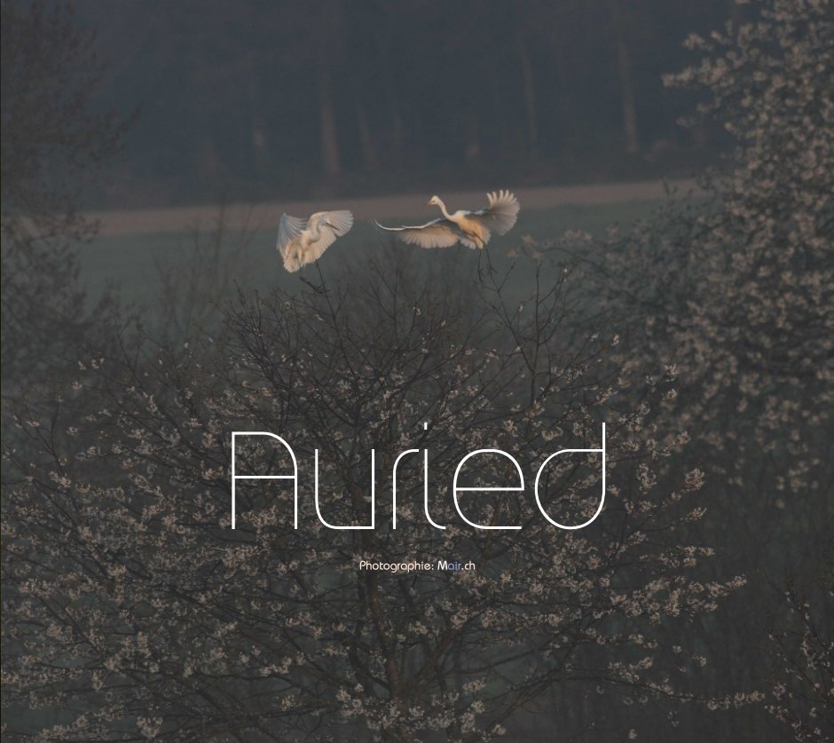 Le livre "Auried"
