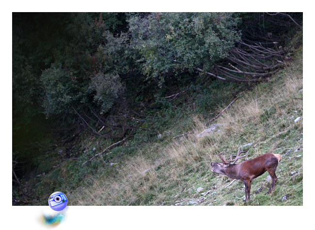 (C) Mair photographie