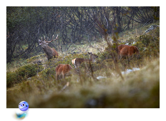 (C) Mair photographie