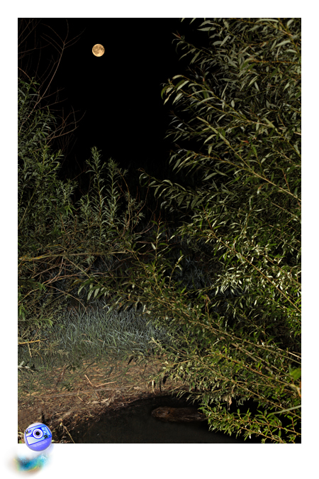 Nuit magique ... (C) Mair Photographie