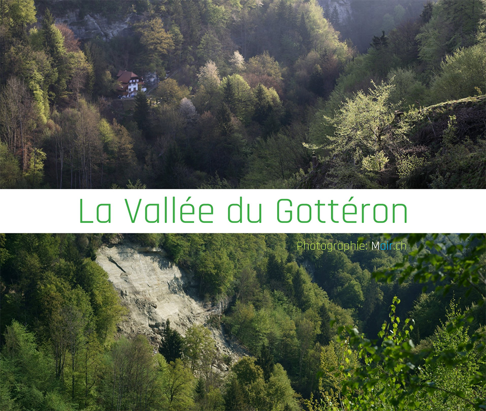 Le livre  "La valle du Gottron"