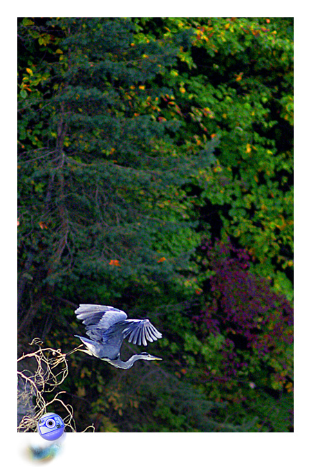 L'heure du dpart ... (C) Mair Photographie