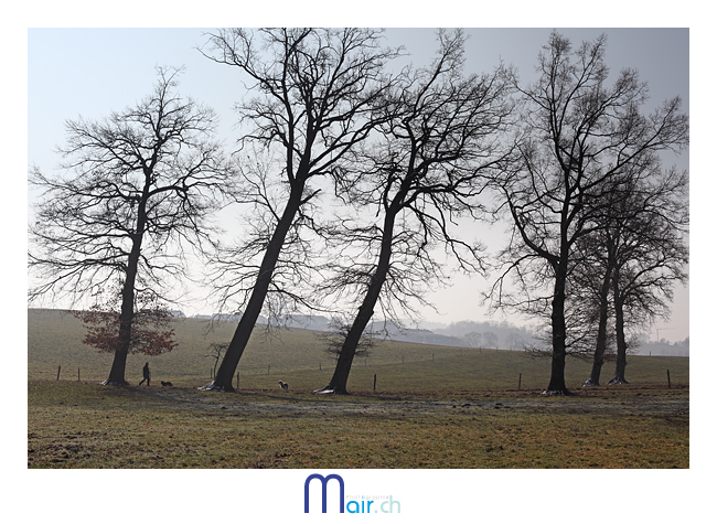 (C) Mair photographie