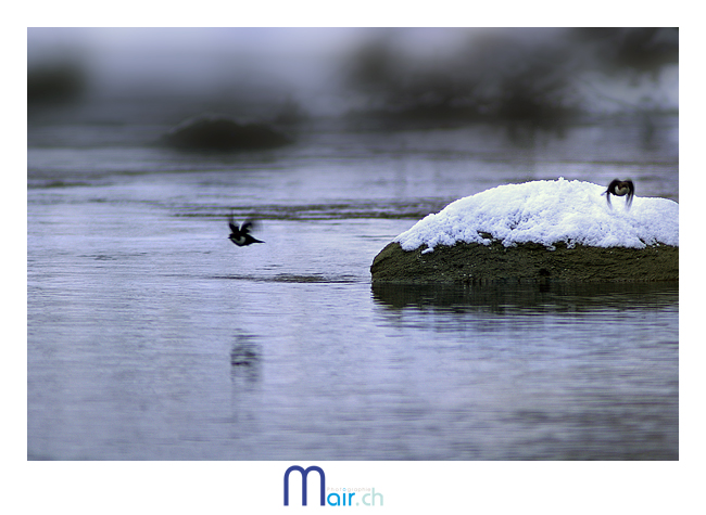 (C) Mair.ch