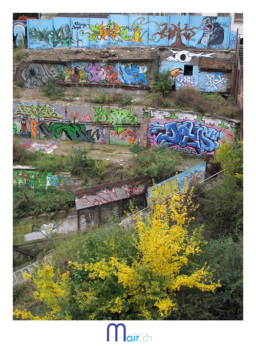 Explosion de couleurs dans la "Fribourg jungle" ... (C) Mair.ch