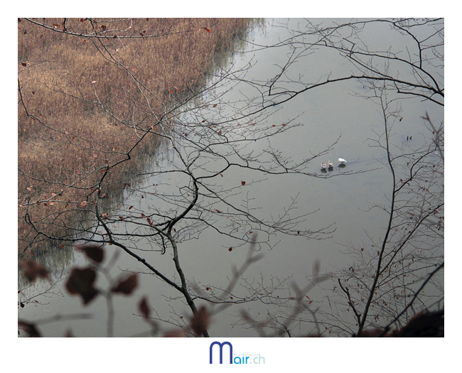 Lac de P�rolles vu du sentier Ritter (c) Mair.ch