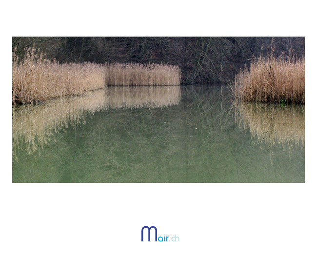 Lac de P�rolles (c) Mair.ch